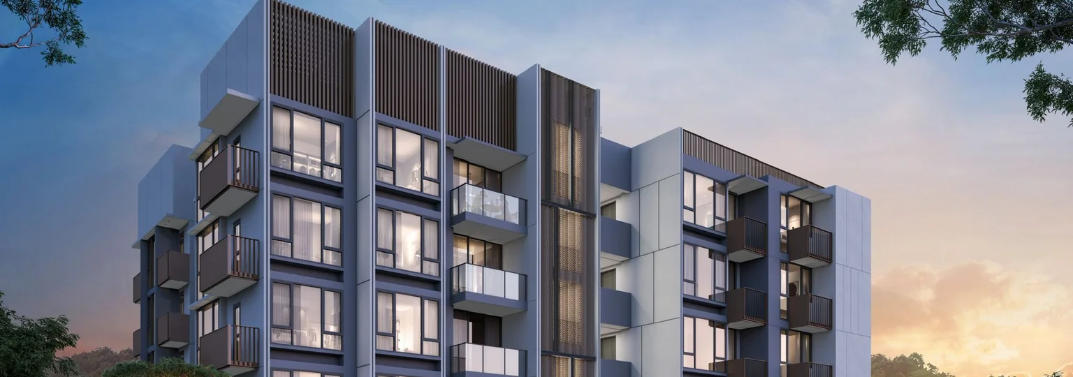 Sophia Meadow insights — District 9 Boutique Living